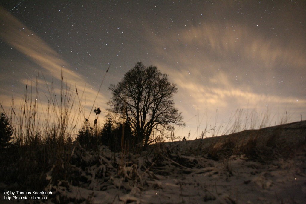 Stars in a winter's night
