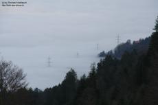 Powerlines in a sea of fog